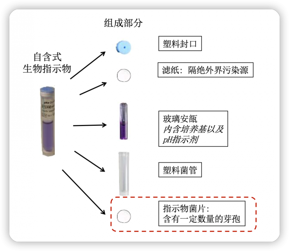 自含式生物指示劑結構.png